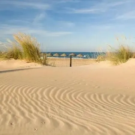 Sol Playa Y Cocina Mediterranea En Tu Διαμέρισμα Guardamar del Segura