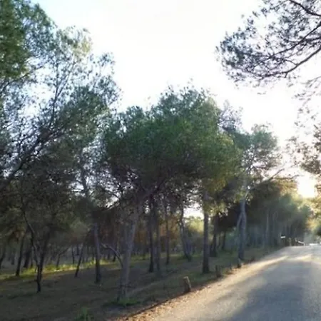 Διαμέρισμα Sol Playa Y Cocina Mediterranea En Tu
